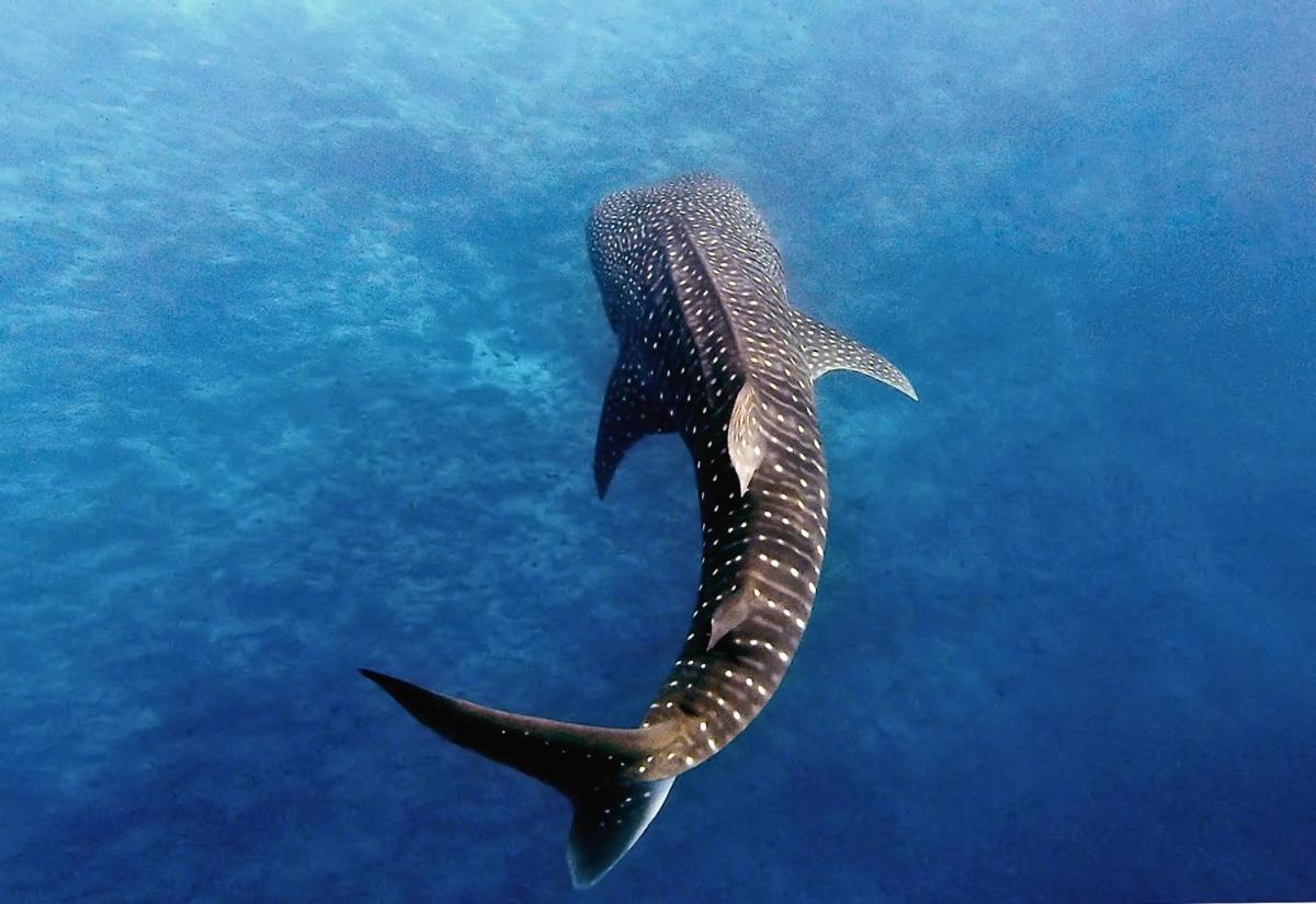 Manta Reserve Maalhos  Esterno foto
